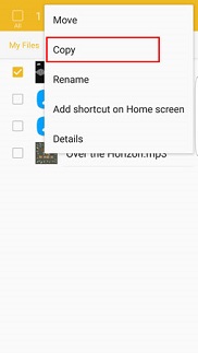 Copy menu is selected
